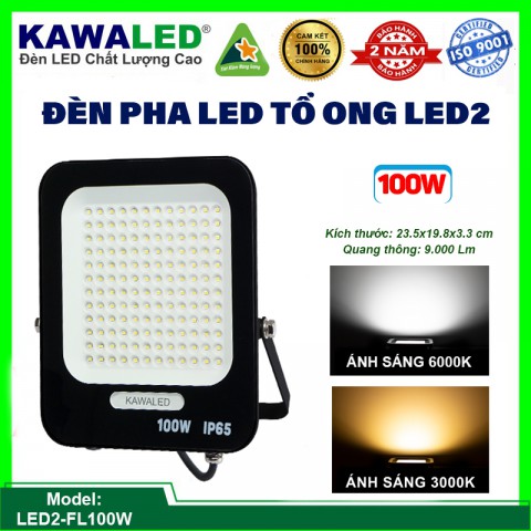 ĐÈN PHA LED TỔ ONG CHỐNG NƯỚC IP65 LED2-FL100W-T/V