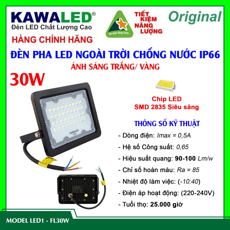 ĐÈN PHA LED NGOÀI TRỜI CHỐNG NƯỚC IP66  LED1-FL30W-T/V